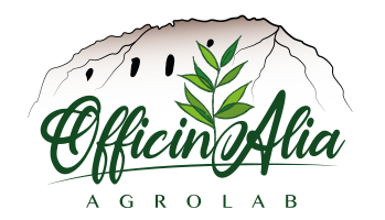 logo-footer